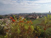 B&B Frosinone - Next b&b - Bed and Breakfast Frosinone