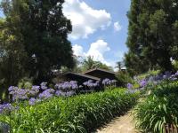 Lindo e aconchegante chalé com piscina, lareira e churrasqueira - B&B São Roque