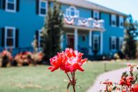 La Bastide Bed and Breakfast - B&B
