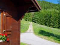 Chalet familial à La Bresse, proche randonnées, WIFI, animaux admis - Chambres d'hôtes La Bresse