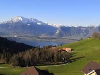 Schwendi-Blueme - B&B Heiligenschwendi