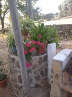 Casa El Tío Juan - Ferienwohnung Cumbres de San Bartolomé