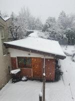 Mono Belgrano1 - B&B Bariloche