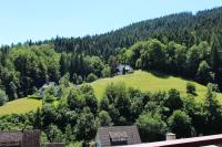 Ferienwohnung Schwarzwaldblick - B&B Bad Rippoldsau-Schapbach