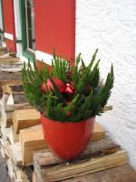 Wirtshaus und Pension Hocheck - B&B Ramsau