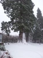 Großes Doppelzimmer