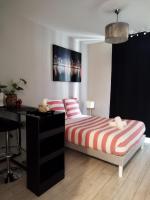 Pau hypercentre Studio - B&B