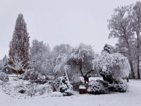 Apartment mit 1 Schlafzimmer