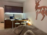 Bansko Ski To Door Studio De Luxe - B&B Bansko