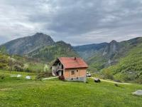 Family owned self sufficient ECO farm TARA - B&B