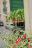 Casa Maria - B&B Napoli