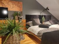 Szarotka - B&B Szczecin