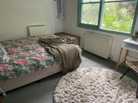 Deluxe Kamer met Queensize Bed 