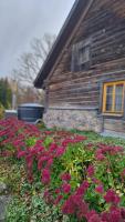 Dzirnavkalns - B&B