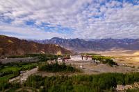 Phyang Eco Homestay - B&B Leh