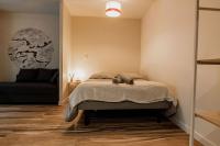 Apartamento de 1 dormitorio