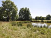 Gîte familial en ferme avec jardin, proche forêt et canal d'Orléans - Label Tourisme et Handicap - Chambres d'hôtes Chailly-en-Gâtinais