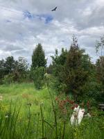 Hostal Flor del Meli - B&B Dalcahue