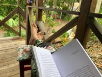 Recanto Mico Leao - B&B Bombinhas