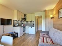Charmant 2 pièces sur pistes, balcon sud, animaux admis, Wi-Fi - FR-1-455-1 - Chambres d'hôtes Belle-Plagne