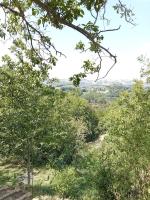 Casa RosaMatilda - B&B Sant'Angelo in Pontano