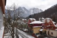 Apartment Victoria - B&B Buşteni