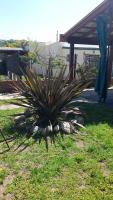 Posada Los Pájaros - B&B
