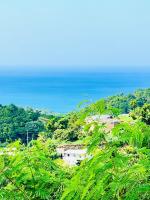 Jealous Mountain Bed-Sit - Bed and Breakfast Morne Jaloux Ridge