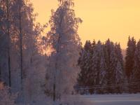 Villa con 3 Camere da Letto