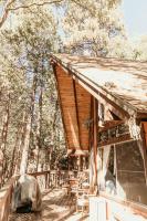 Cozy Sequoia Forest Cabin near Lake Isabella - B&B