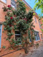 La Cochon Rose Motel - Chambres d’hôtes