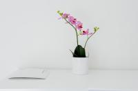 Il Castelluccio - B&B Arezzo