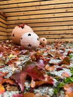 Altstadtpension am Dom - B&B Erfurt