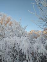 Appartamento con Terrazza