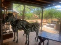 B&B Marloth Park - Intundla's Rest - Bed and Breakfast Marloth Park