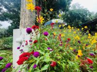 Luxury Villa Siena with Private Pool! - B&B Puducherry