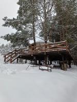 Jurty z widokiem, prywatna balia- DZIKOLAS GLAMPING - B&B Krasnobród