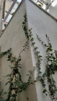 QUART0 GREC0 Suite 17 - B&B