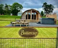Buttercup - Bed and Breakfast Rhayader