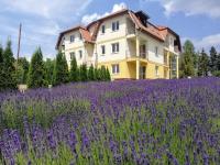 B&B Bükkszentkereszt - Levendula Apartman Bükkszentkereszt - Bed and Breakfast Bükkszentkereszt