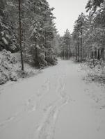 Appartement 1 Chambre