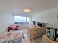 Charmant Studio Rénové 4 Pers, Balcon Sud, Proche Station - FR-1-393-156 - B&B Saint-Michel