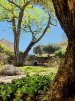 Suite King con Balcone