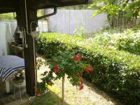 Apartment & Rooms Miboti - B&B Samobor