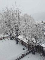 Appartamento con 1 Camera da Letto e Terrazza