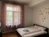 3х комнатная квартира возле парка - Bed and Breakfast Rivne