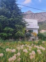 Apartment Dora - B&B