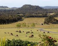 Hanging Rock Views - Bed and Breakfast Woodend