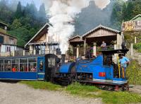 Marigold Manor Homestay - B&B