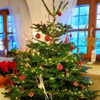 Apartment mit Terrasse